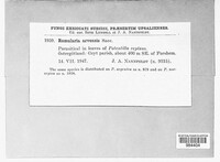 Image Associated With the Occurence